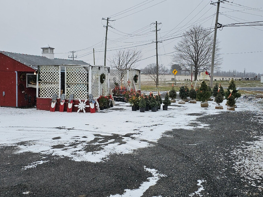 Jones Family Farm-Street必去景点