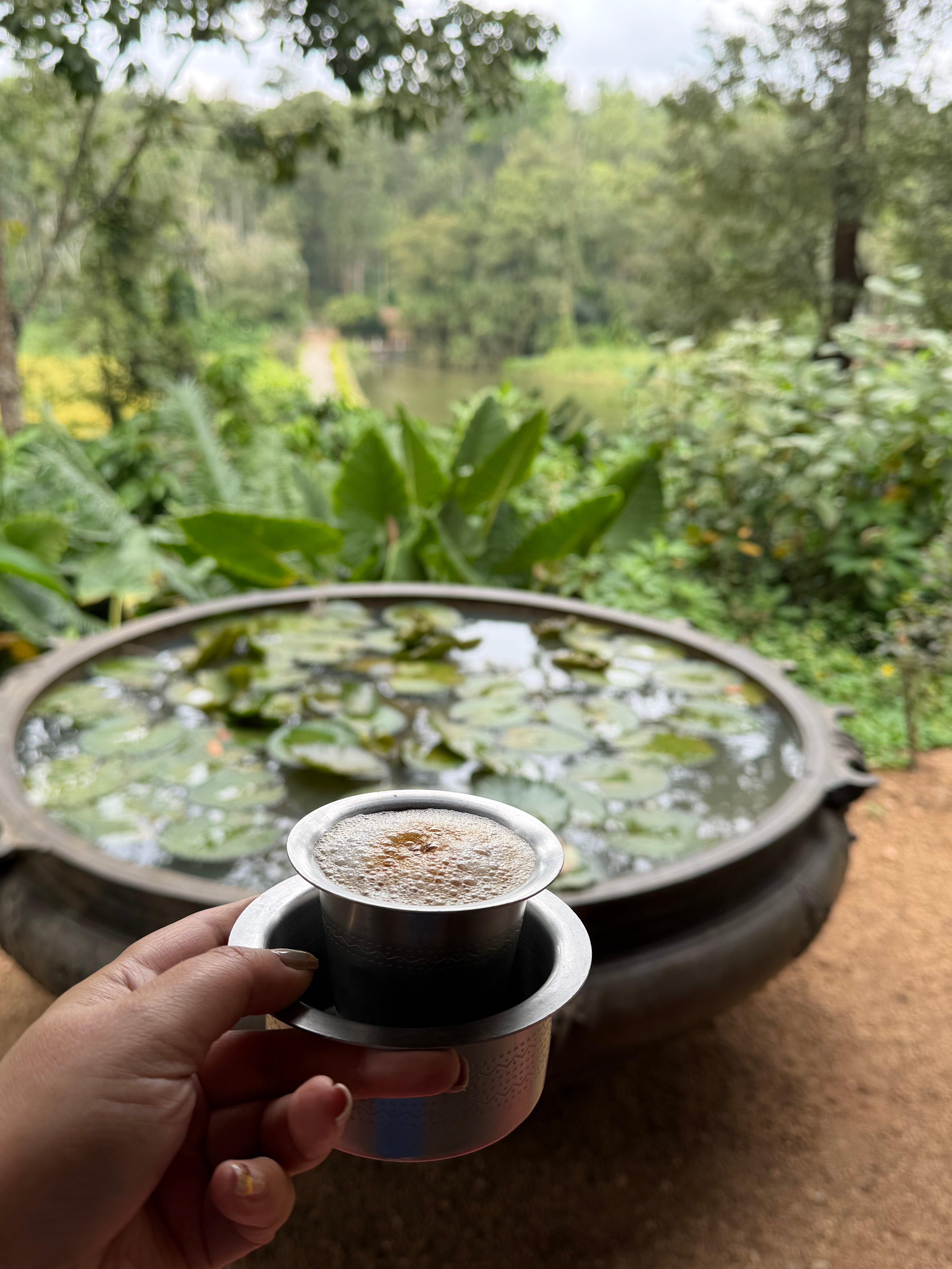 Evolve Back, Coorg-官方