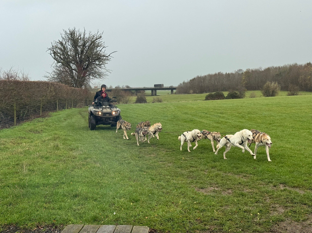 Arctic Quest Sled Dog Adventures-图克斯伯里必去景点