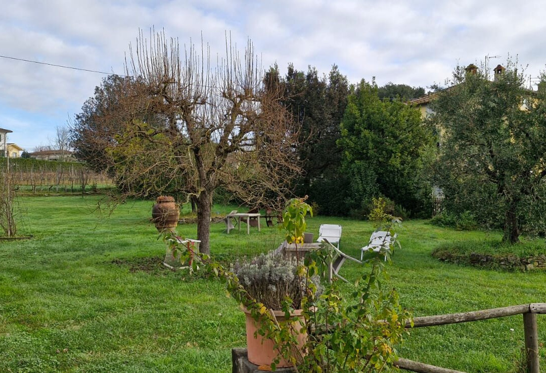 Al Podere di Rosa主图