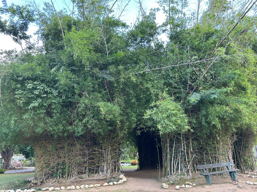 Waitukubuli Adventure Tour Co.-罗索必去景点