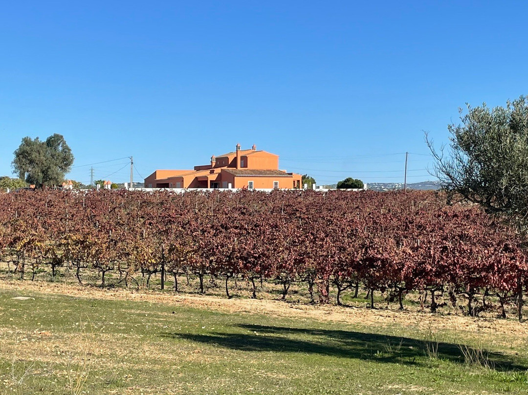 Quinta Do Canhoto-阿尔布赞拉必去景点