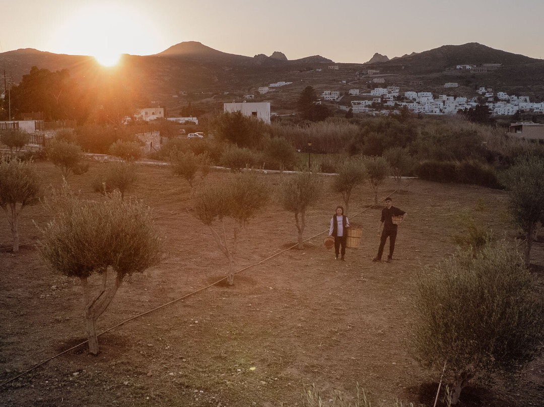 Eggares Olive Press Museum-Eggares必去景点