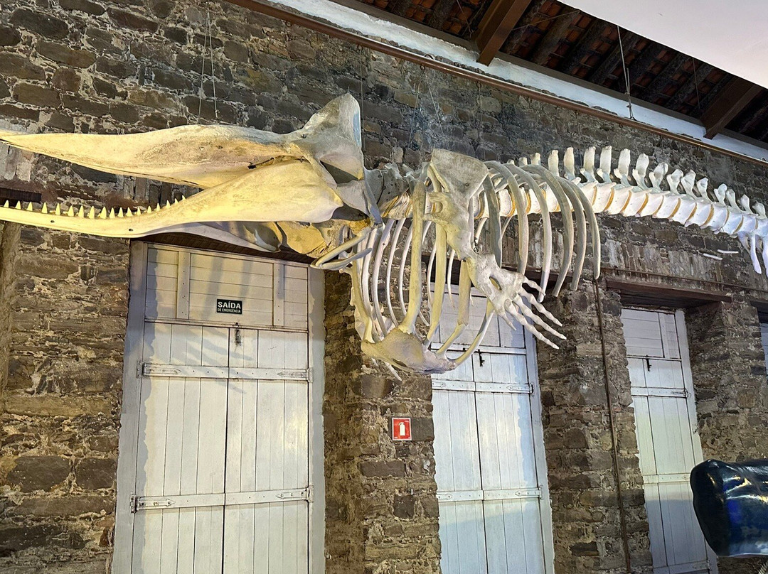 Museu Do Mar Delta Do Phb-Parnaiba必去景点