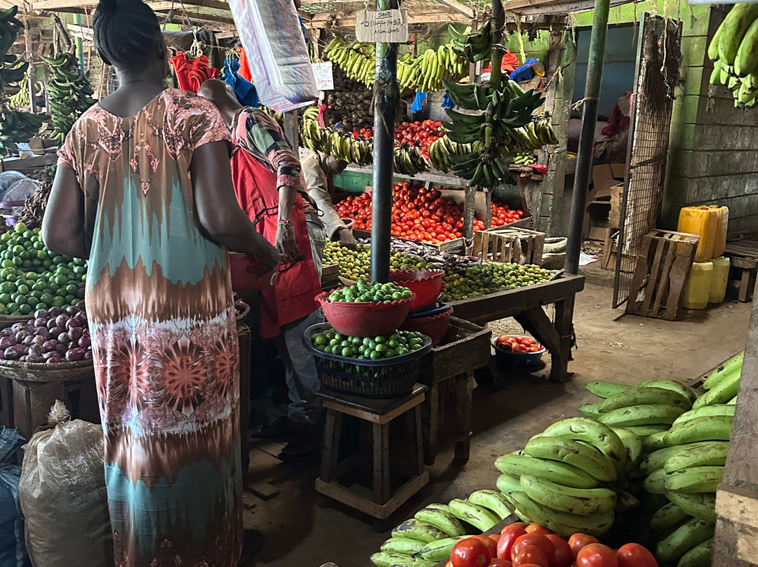Totti Kenya-安博塞利国家公园必去景点