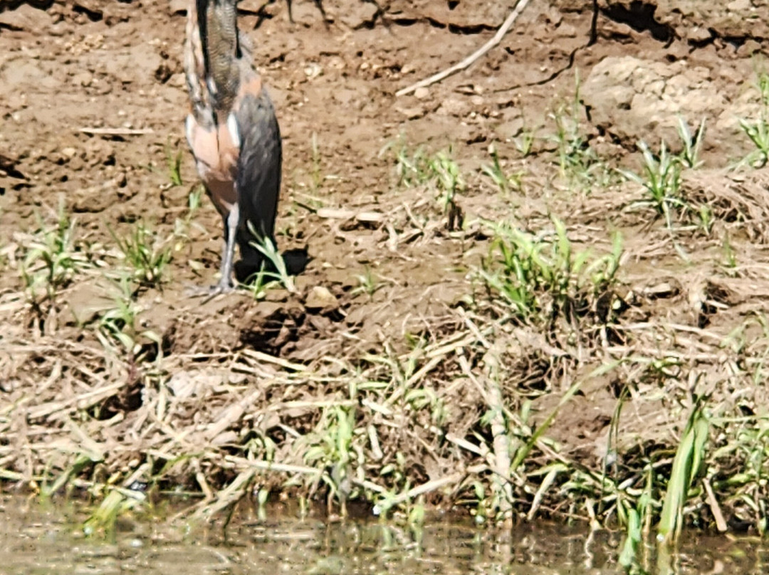 Gio Tours -  Day Tours-彭塔雷纳斯必去景点