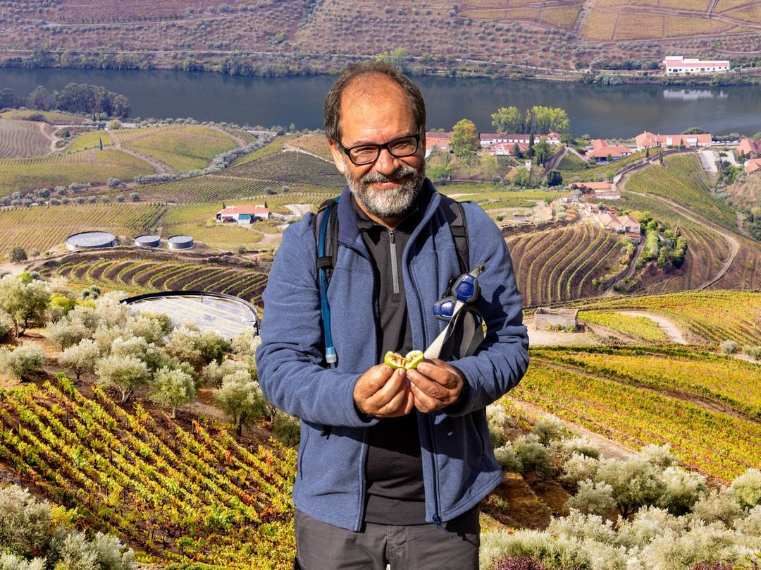 Douro Walks-Ervedosa do Douro必去景点