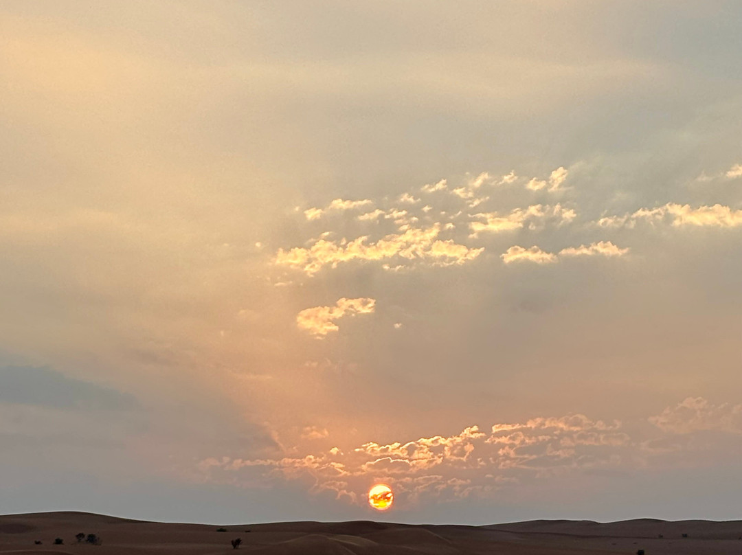 My Saudi Tours-利雅德必去景点