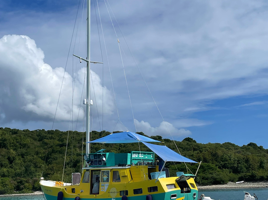 Neptune Adventures-圣 托马斯必去景点