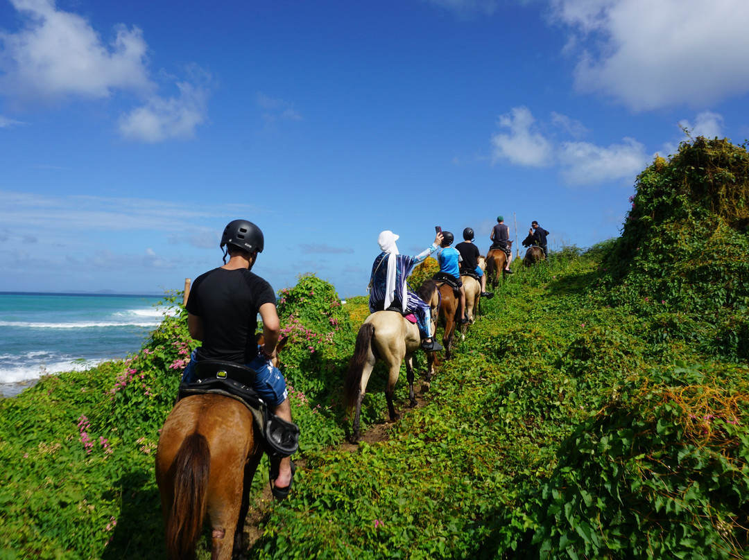 Hacienda Flambollan Tours-Vieques必去景点