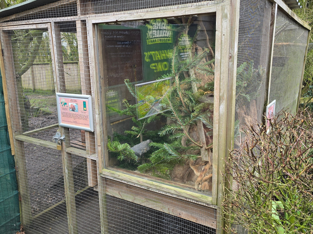 Axe Valley Wildlife Park-Axminster必去景点