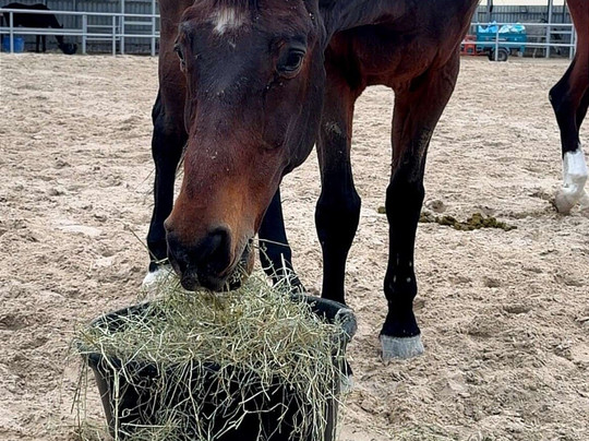 Almarbat-Mesaieed必去景点