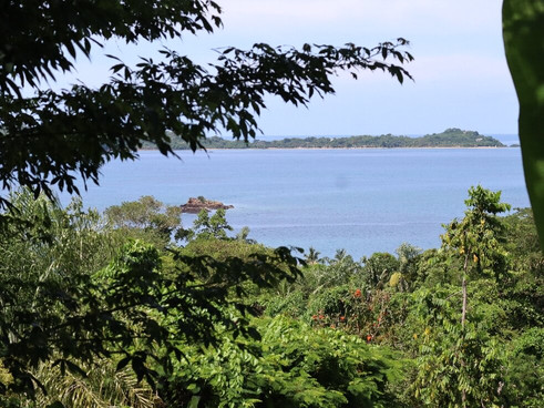 Black Lemur Sanctuary-Nosy Komba必去景点