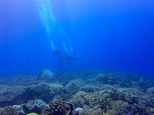 Dive BlueMotion-Banda Neira必去景点