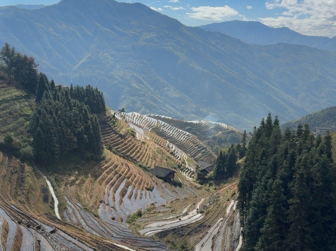 Jerry's Guide & Driver Service-桂林市必去景点