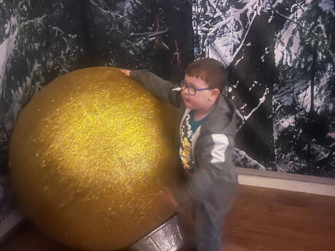 Skylark Maize Maze & Funyard-March必去景点