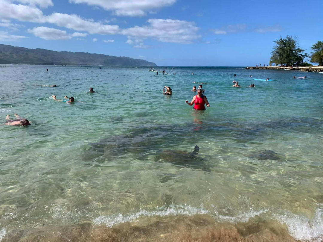 Kevo's Beach Bus-火奴鲁鲁必去景点