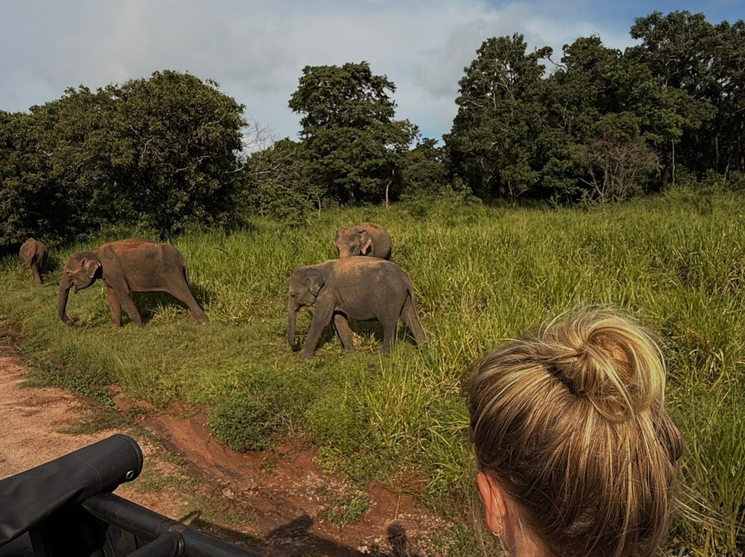 Safari With Asanka-锡吉里亚必去景点