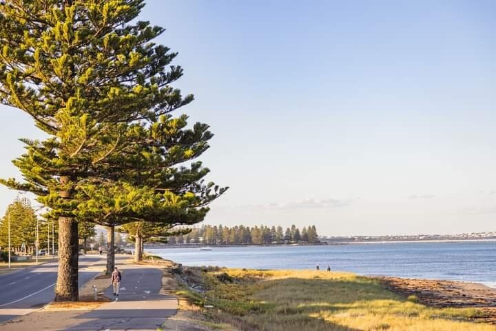 Victor Harbor Horse Drawn Tram-维克多港必去景点