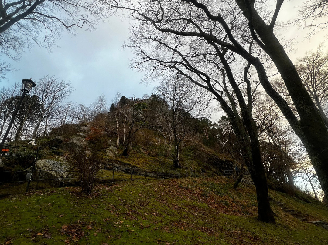 Borgernes veg and Aksla Stadion-奥勒松必去景点