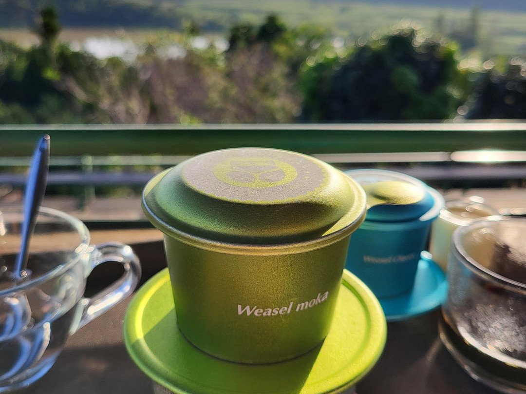 DaLat Day Tours-大勒必去景点