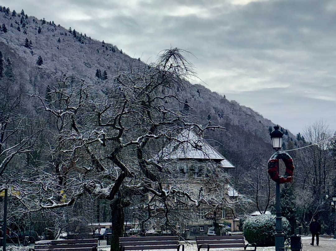 Centru Sinaia-锡纳亚必去景点