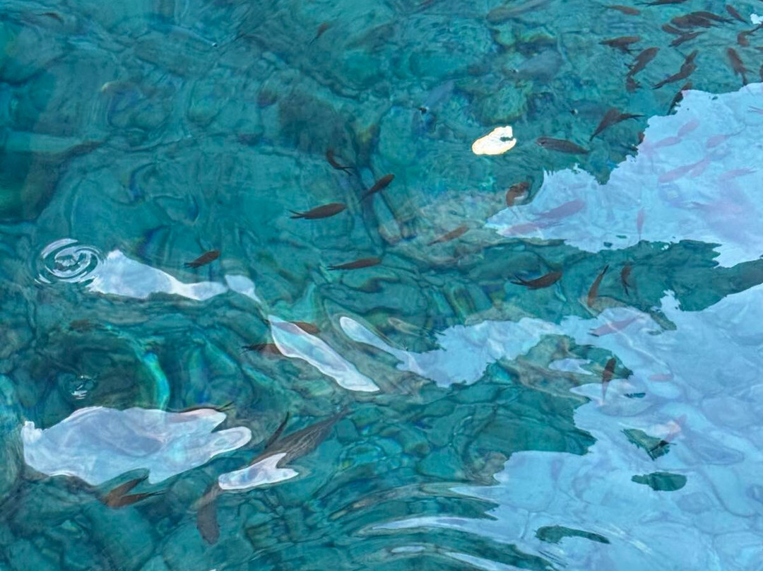 Sparos Daily Cruises-Pounta必去景点