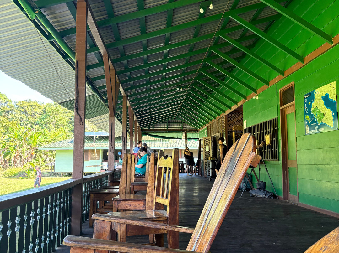 Osa Green Travel-希门尼斯港必去景点