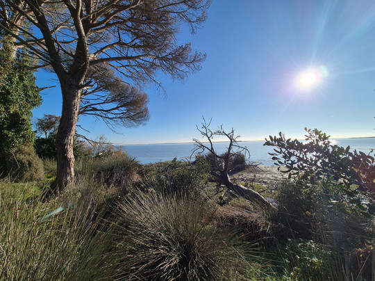 Donana Visitas-El Rocio必去景点