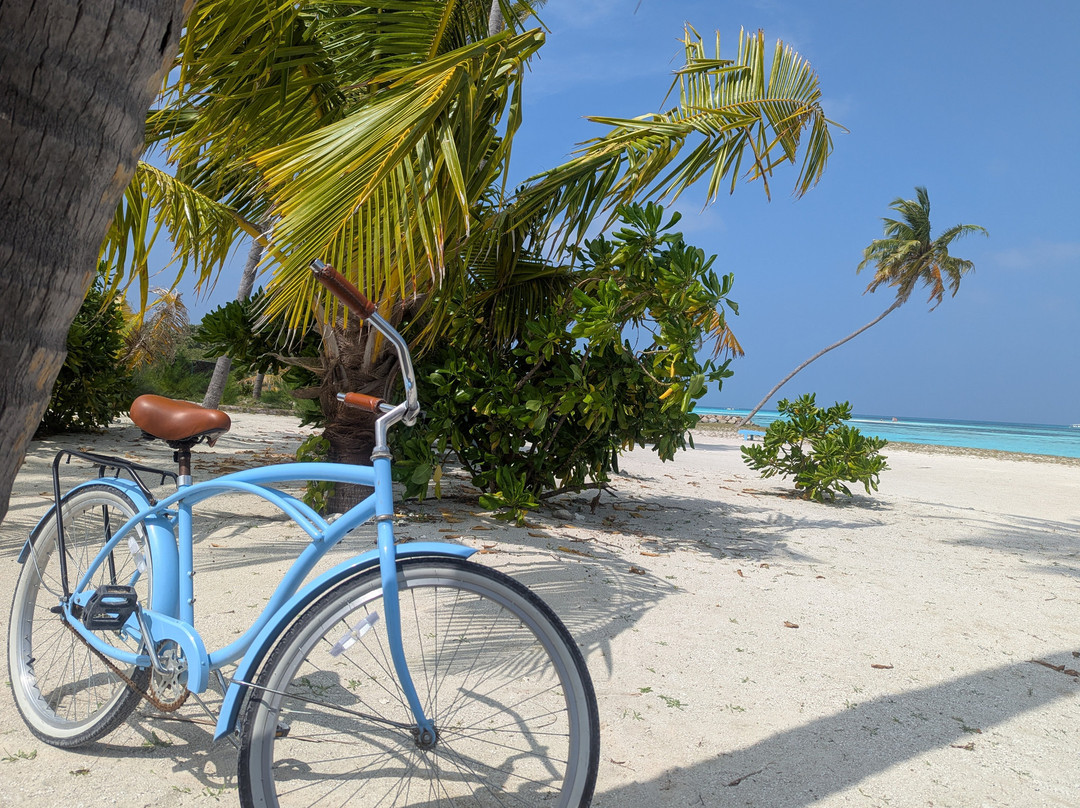 The Bilimbi Guesthouse & Inn主图