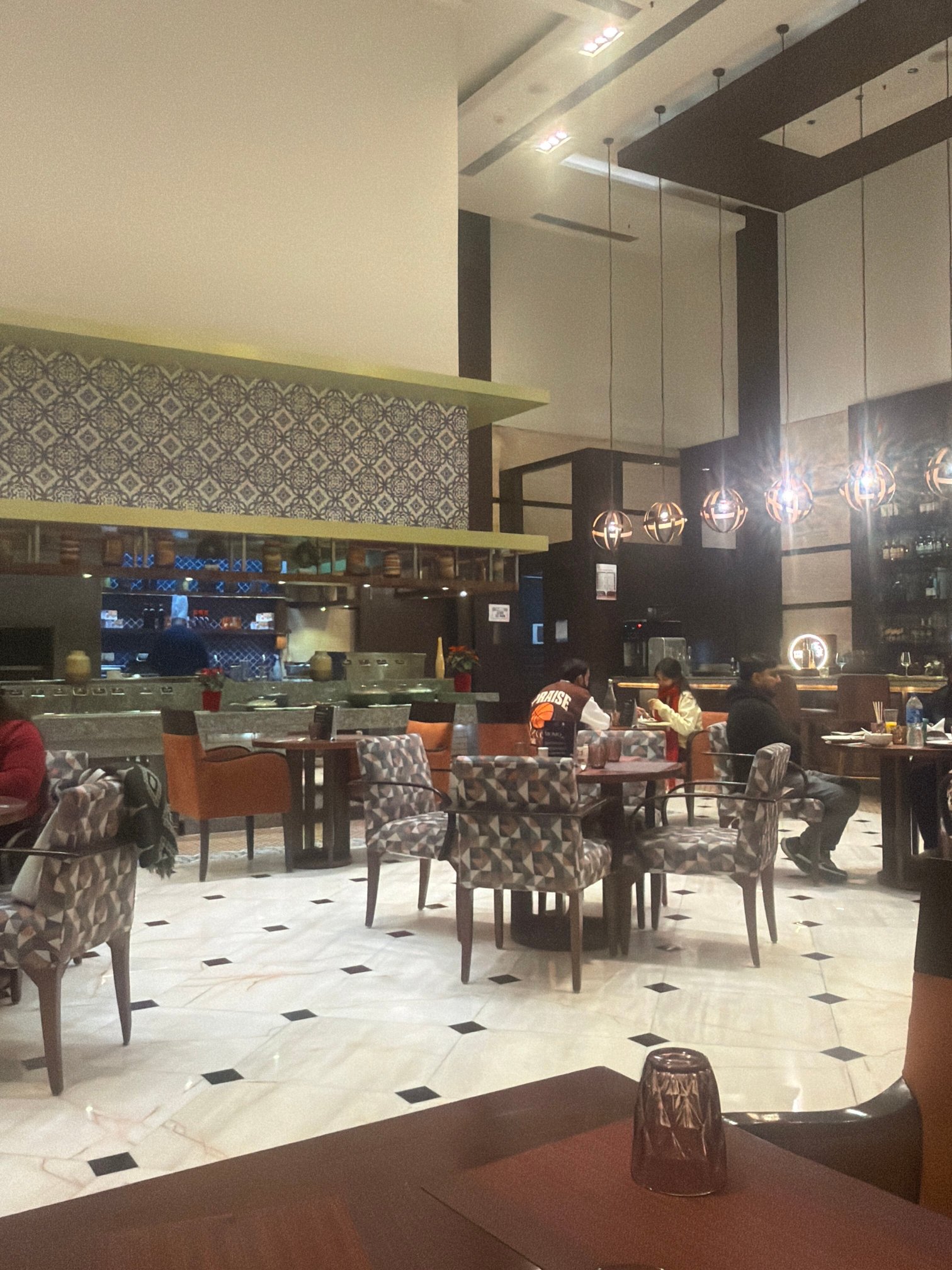 希尔顿新德里雅纳卡普瑞酒店-官方