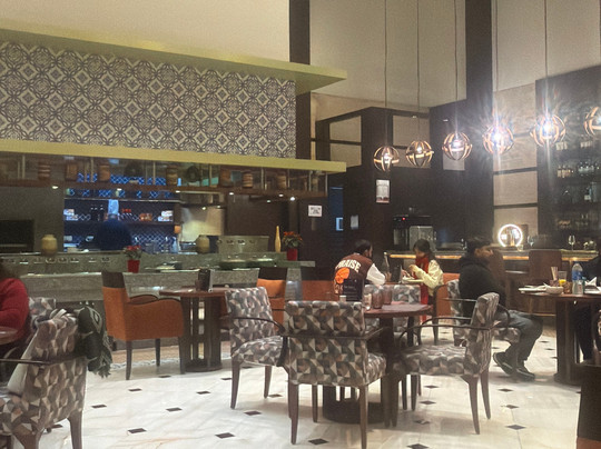 希尔顿新德里雅纳卡普瑞酒店主图