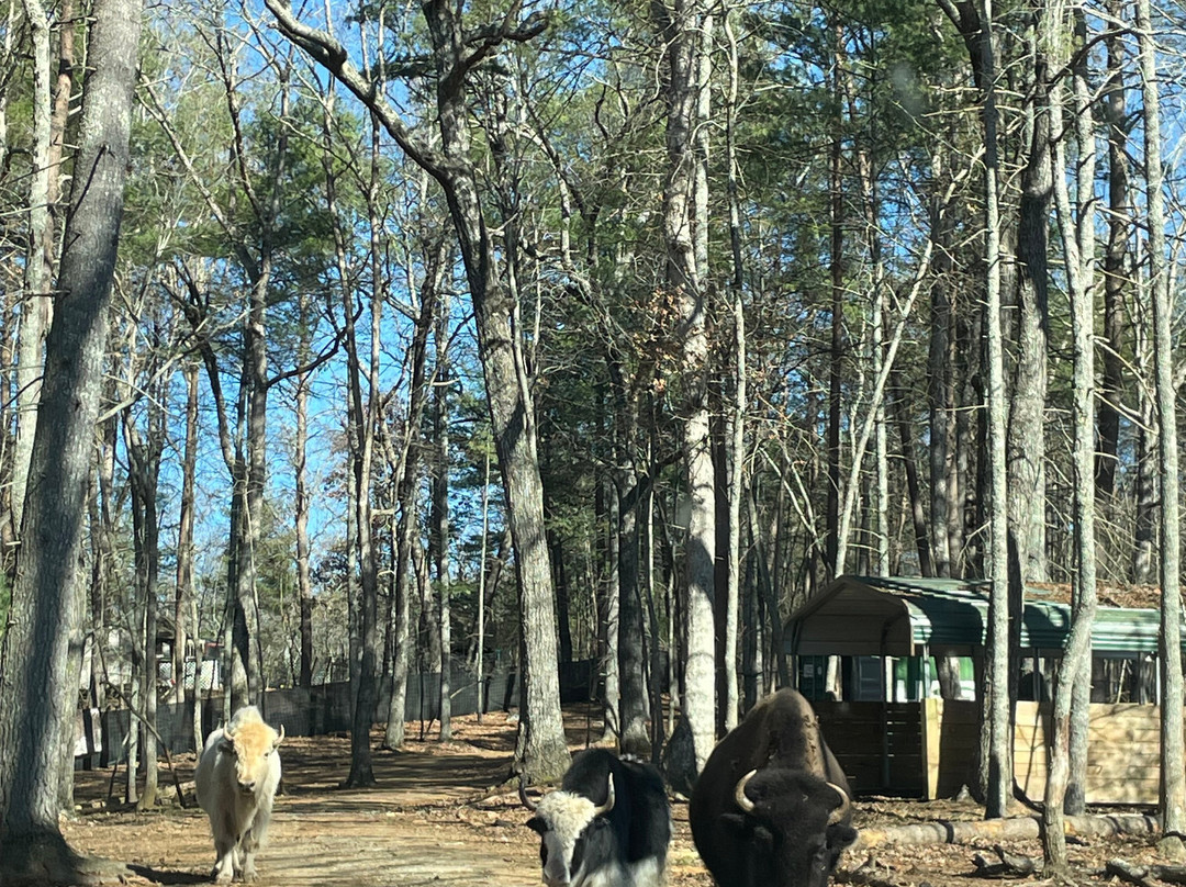 North Georgia Wildlife Park-Cleveland必去景点