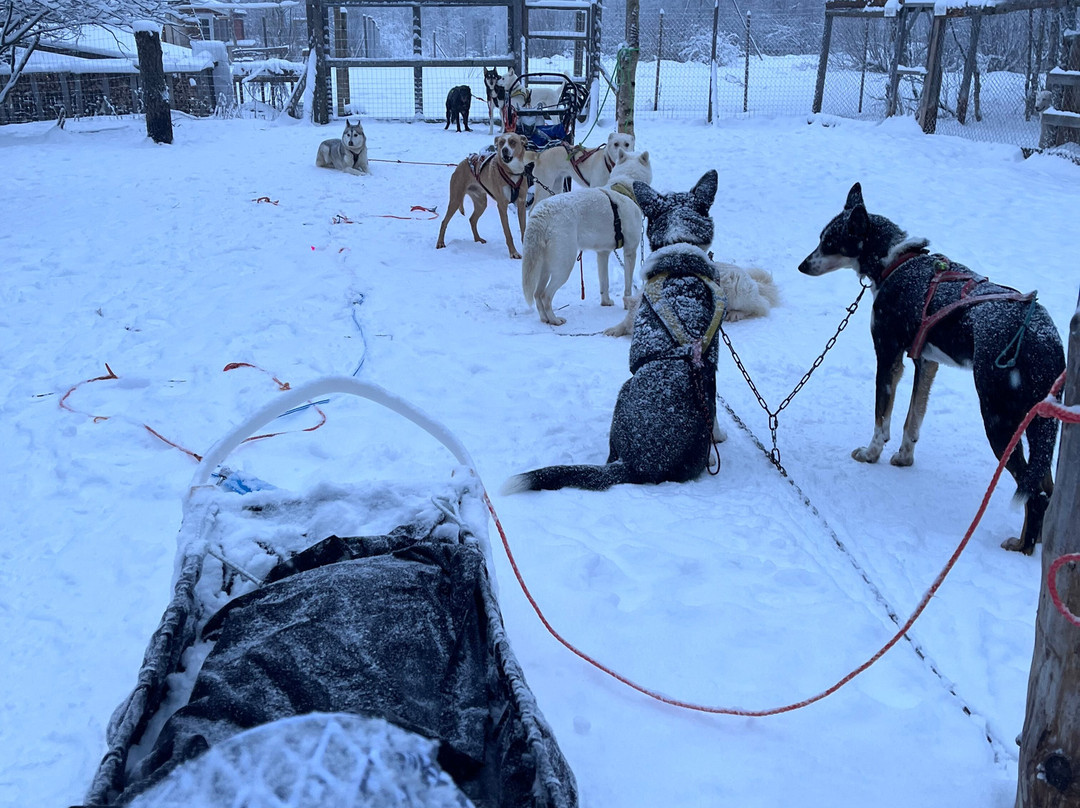 O'Nordic-Posio必去景点