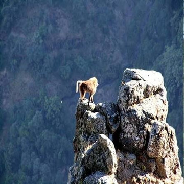 Turaco tours & Travel-巴哈尔达尔必去景点