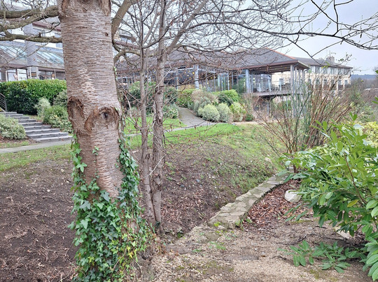 德鲁伊兹格林度假酒店主图