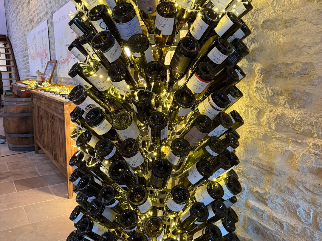 La Cave de l'Ange Gardien-博讷必去景点