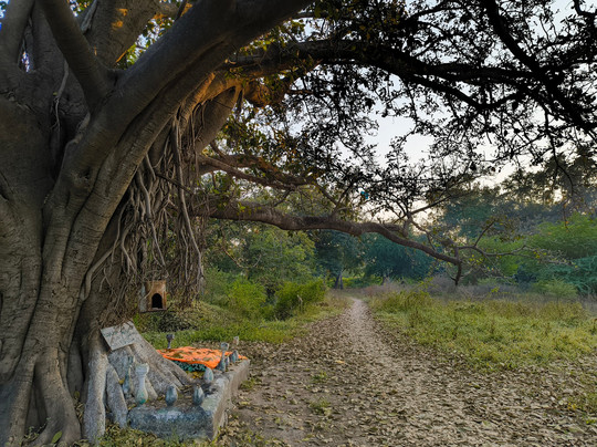 Himayat Baugh Aurangabad-奥兰卡巴必去景点