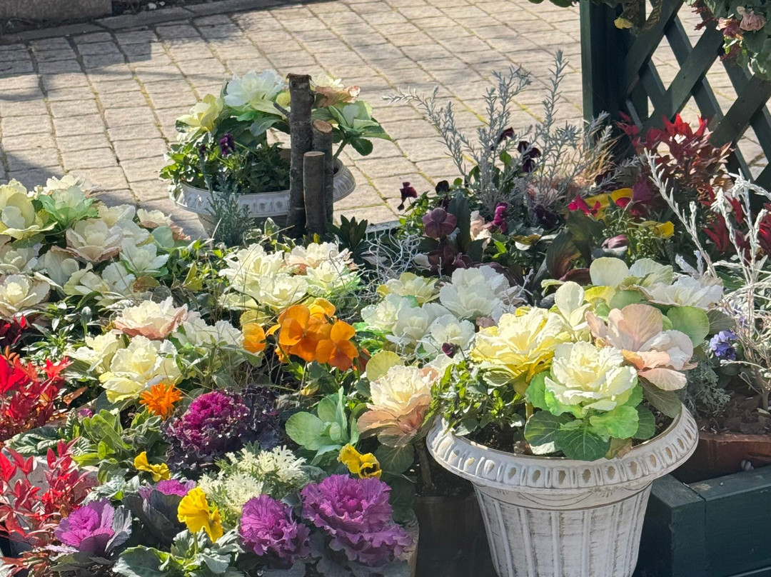 Herb Garden Tabinikki Fujikawaguchiko Garden-富士河口湖町必去景点