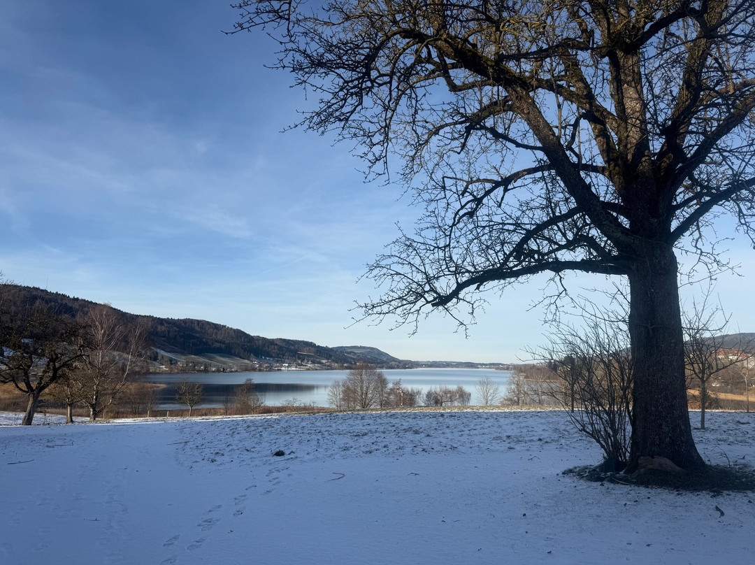 Ederbauer am Irrsee主图