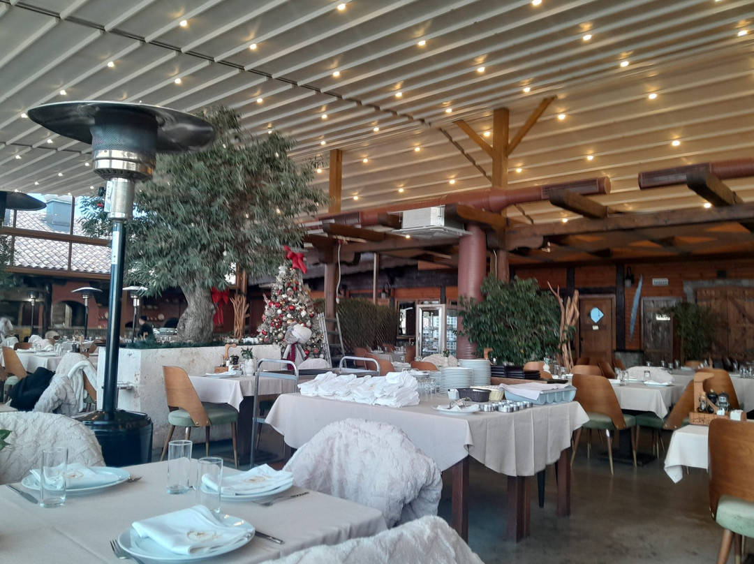 Nacionalni Restoran Carevic