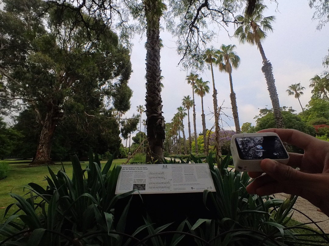 Williamstown Botanic Gardens-威廉斯镇必去景点