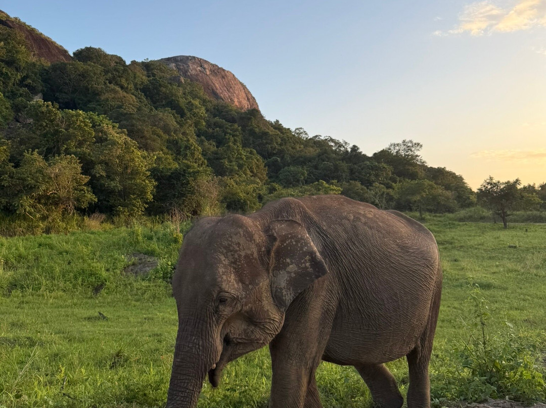D.S Tours Day Tours-尼甘布必去景点