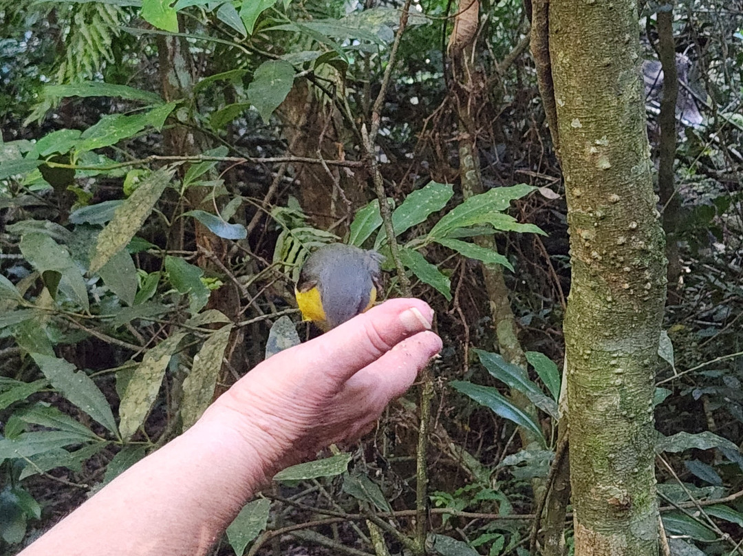 Fun Over Fifty-布里斯班必去景点