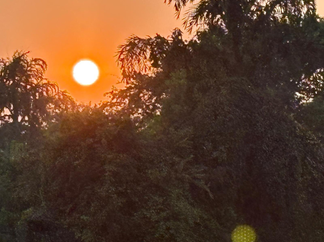 John's Boat Tours - Day Tours-坎多林必去景点