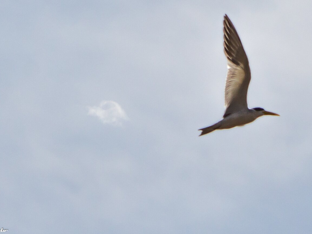 Complejo Costa Alta主图