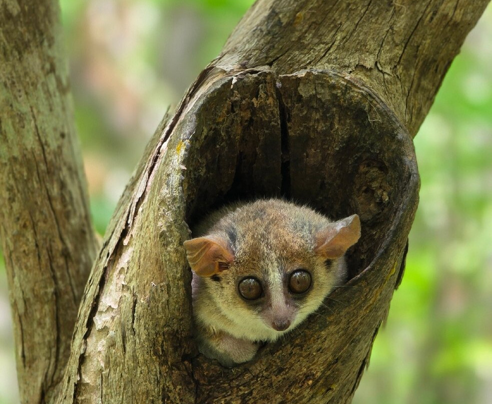 Soul of Madagascar Tours-Toamasina (Tamatave)必去景点