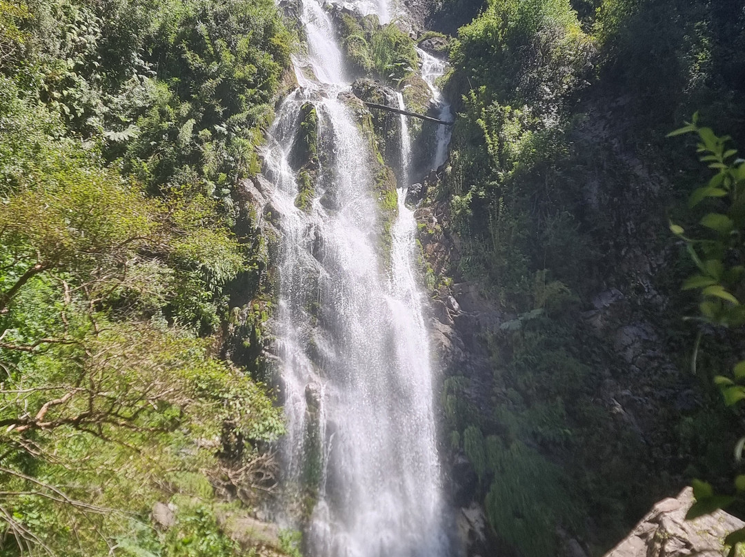 Reserva Biologica Juan Millanao-Panguipulli必去景点