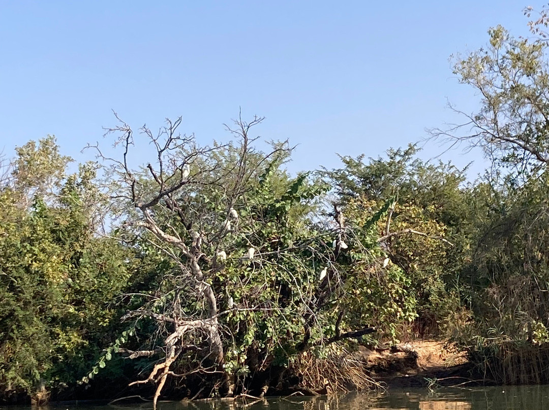 Tour Gambia-Brusubi必去景点
