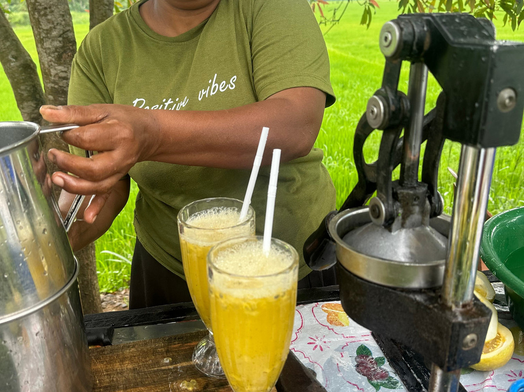Green Eye Lanka-Pugoda必去景点